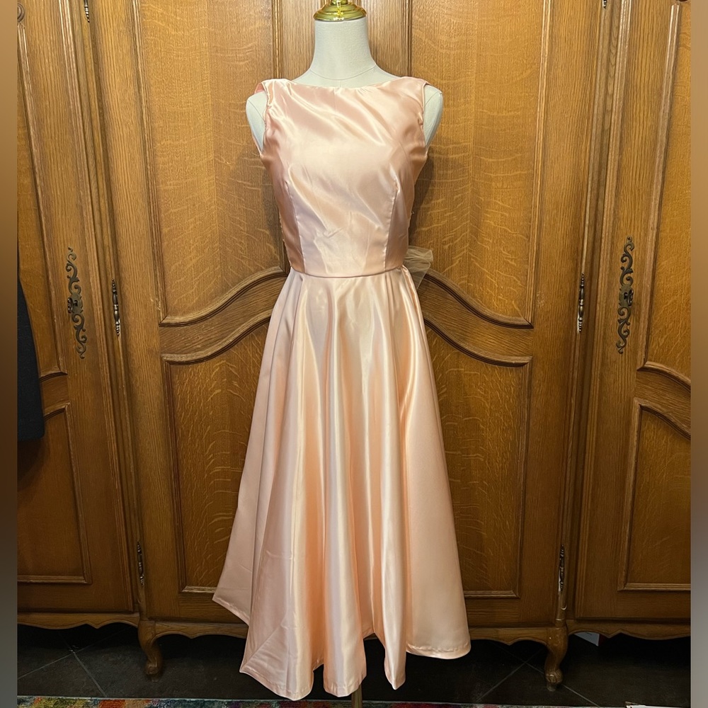 Vintage Beauty Pink Peach Dress